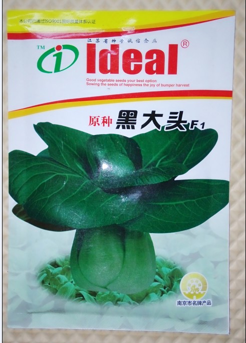 Vegetable Seed